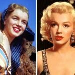 Marilyn Monroe Plastic Surgery Before and After